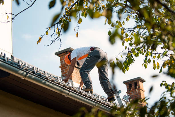 Best Chimney Flashing Repair  in Aromas, CA