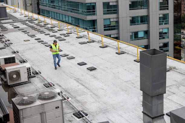 Best Cold Roofs  in Aromas, CA