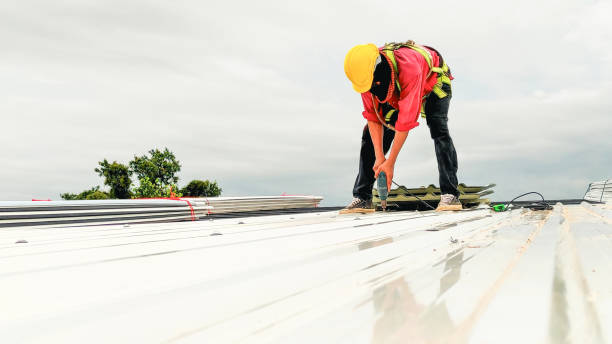Best Sheet Metal Roofing  in Aromas, CA