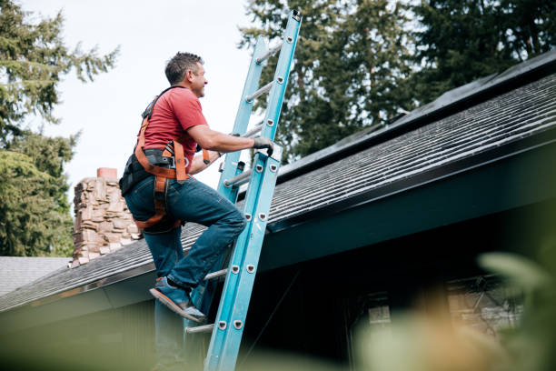 Best Roof Leak Repair  in Aromas, CA